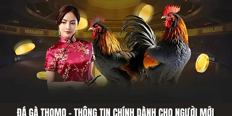 Các kiểu cược thường thấy khi chơi