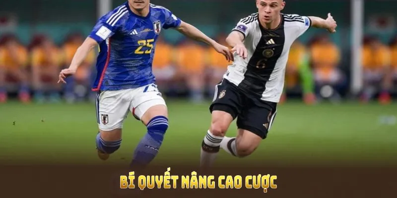 Chiến lược húp tiền nhà cái