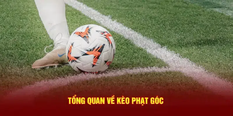 Đôi nét về phương thức cược phạt góc