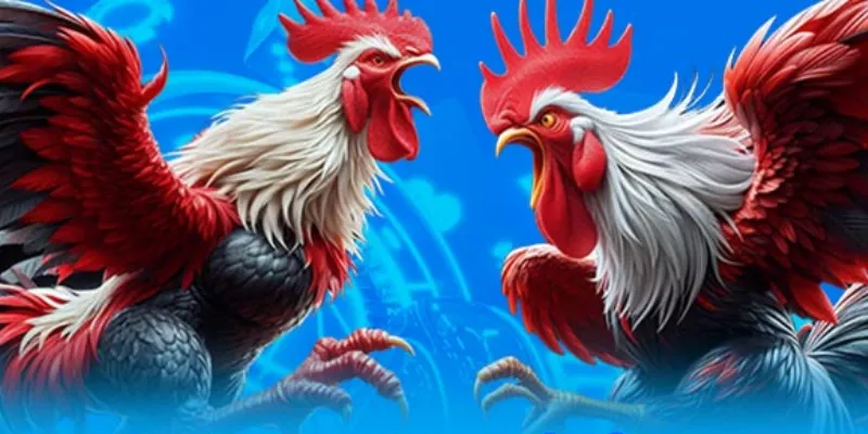 Hình thức cược