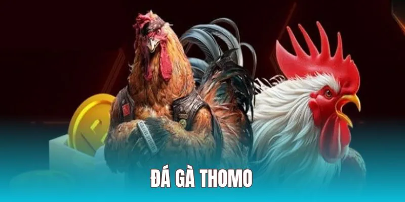 Top 3 Bí Kíp Đá Gà Thomo Giúp Cao Thủ Càn Quét Sới
